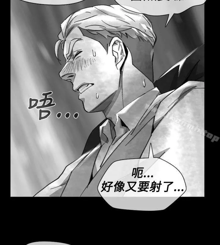 Video(完结)
