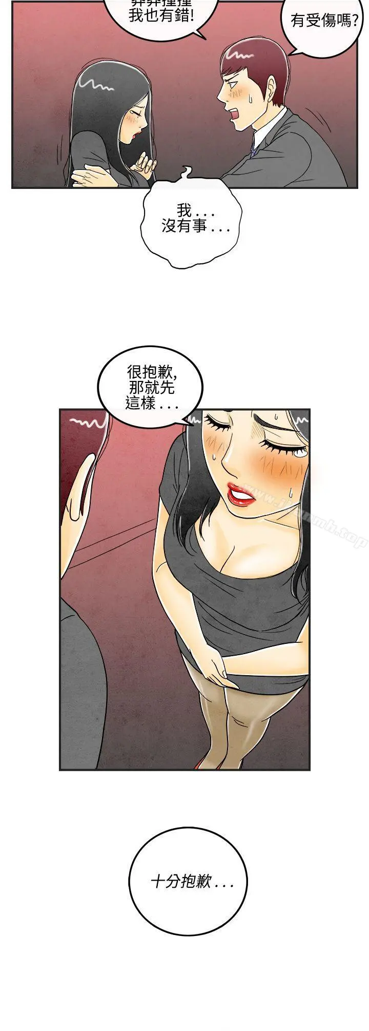 离婚报告书(完结)