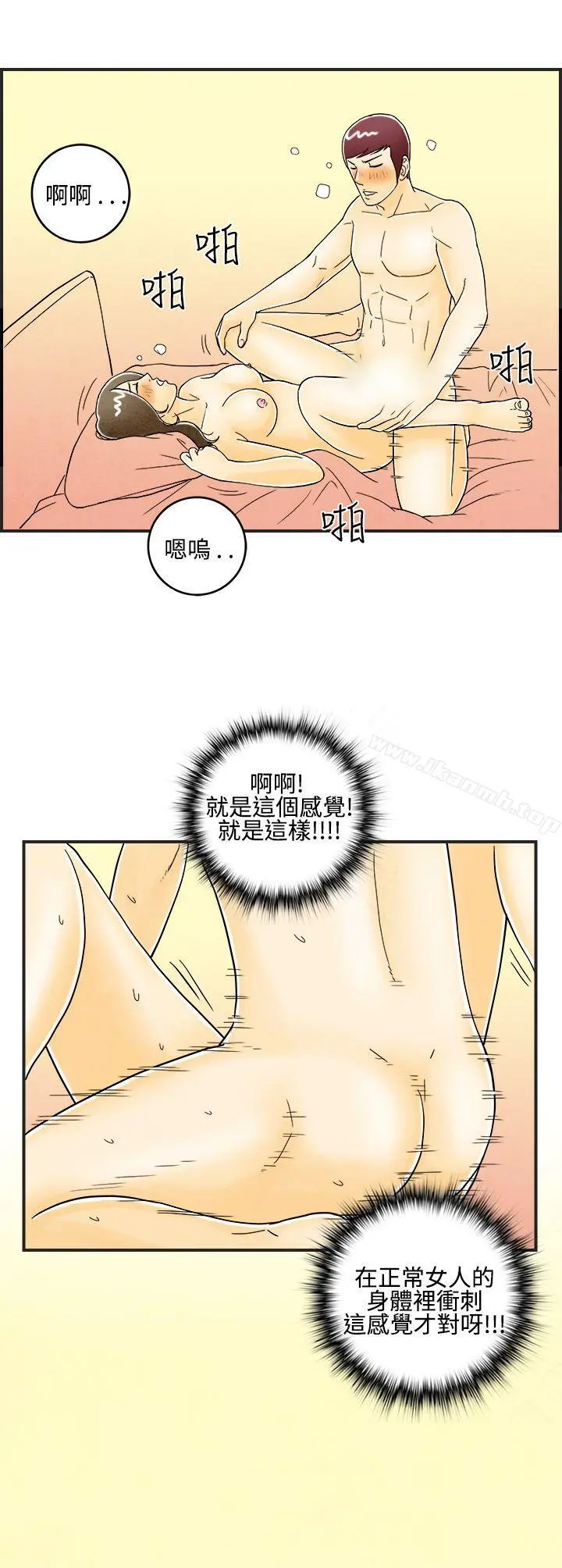 离婚报告书(完结)