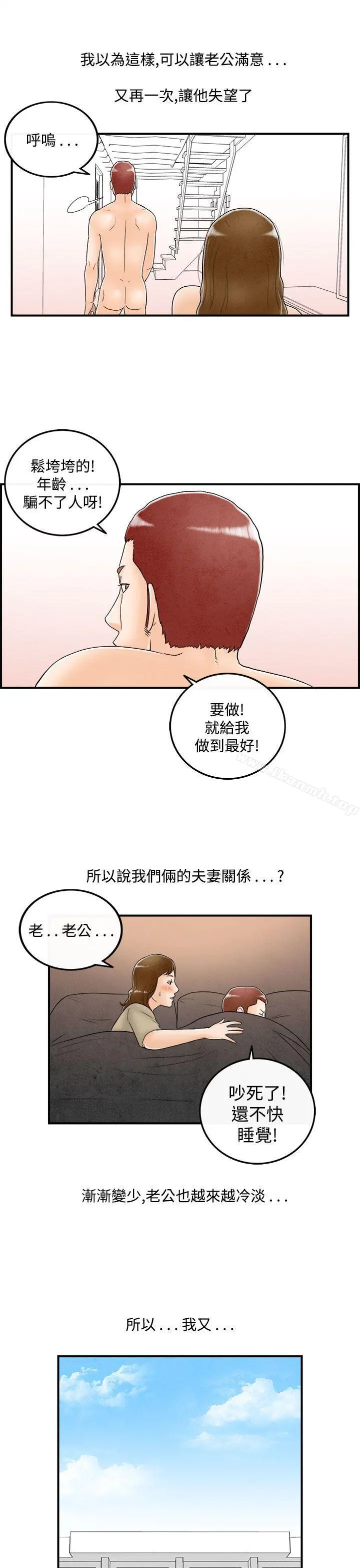 离婚报告书(完结)