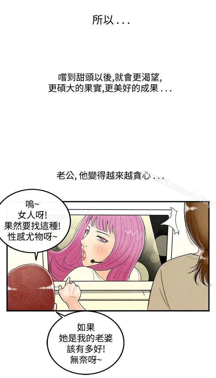 离婚报告书(完结)