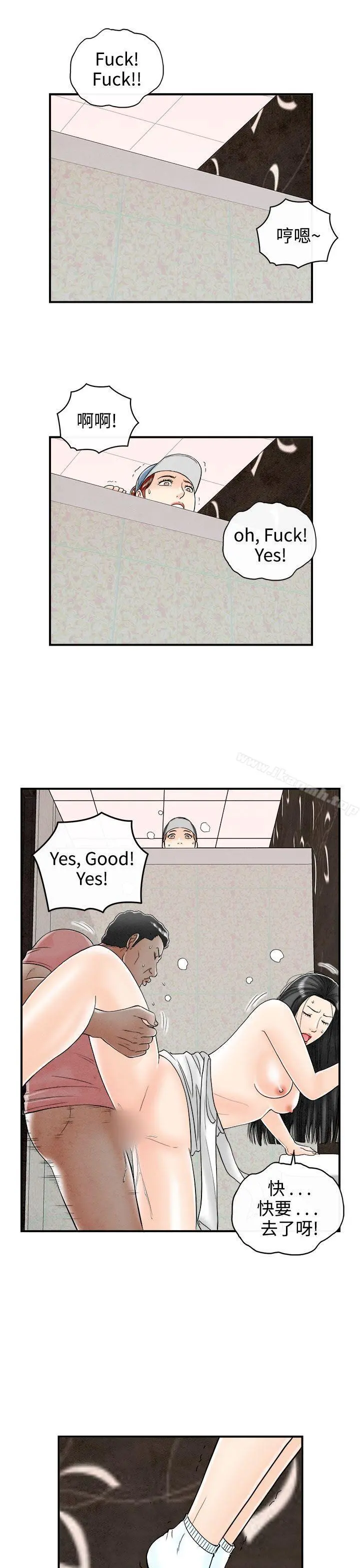 离婚报告书(完结)