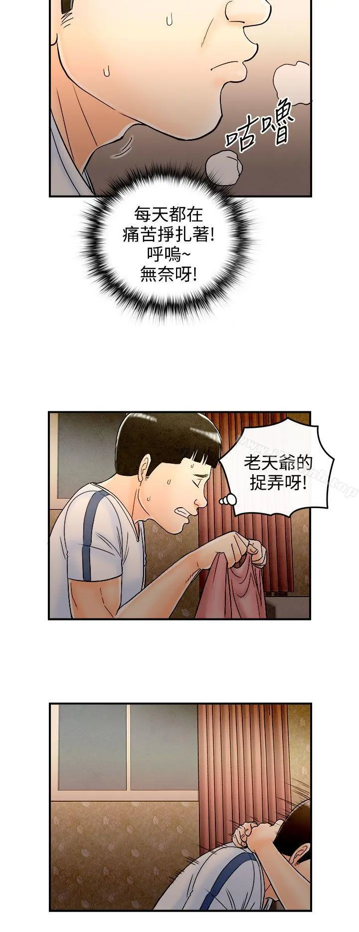 离婚报告书(完结)