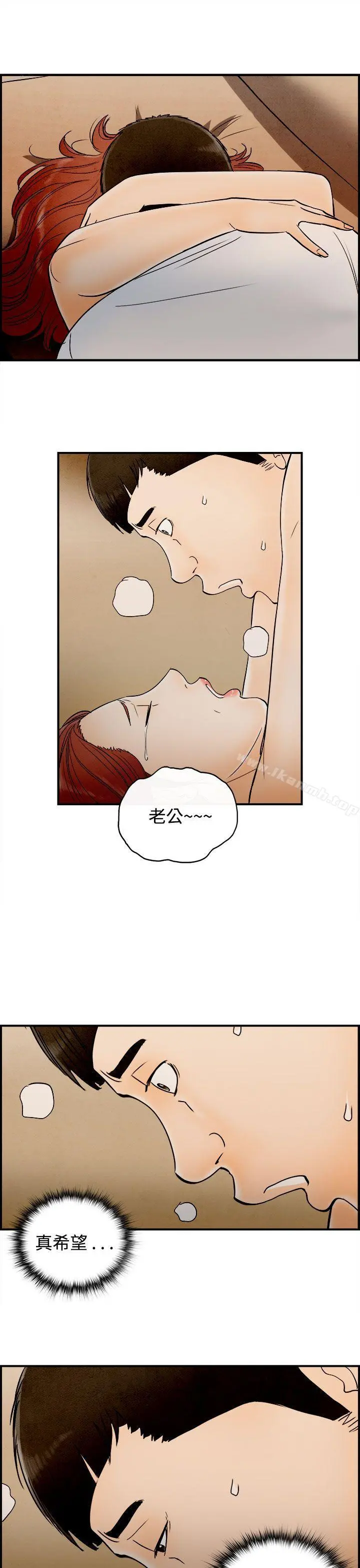 离婚报告书(完结)