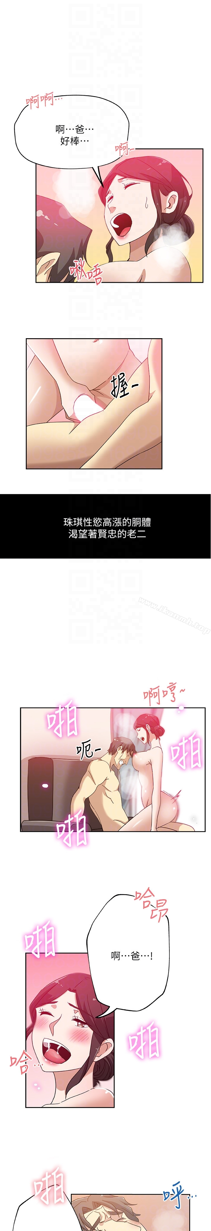 新媳妇