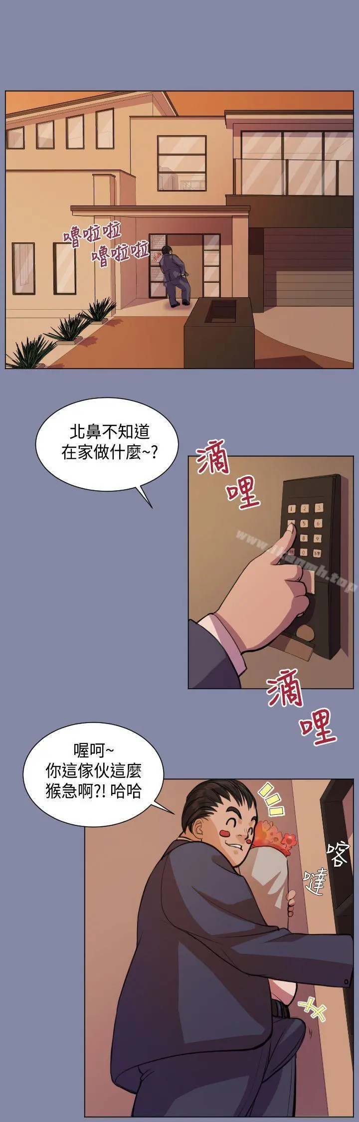 天使的眼泪(完结)