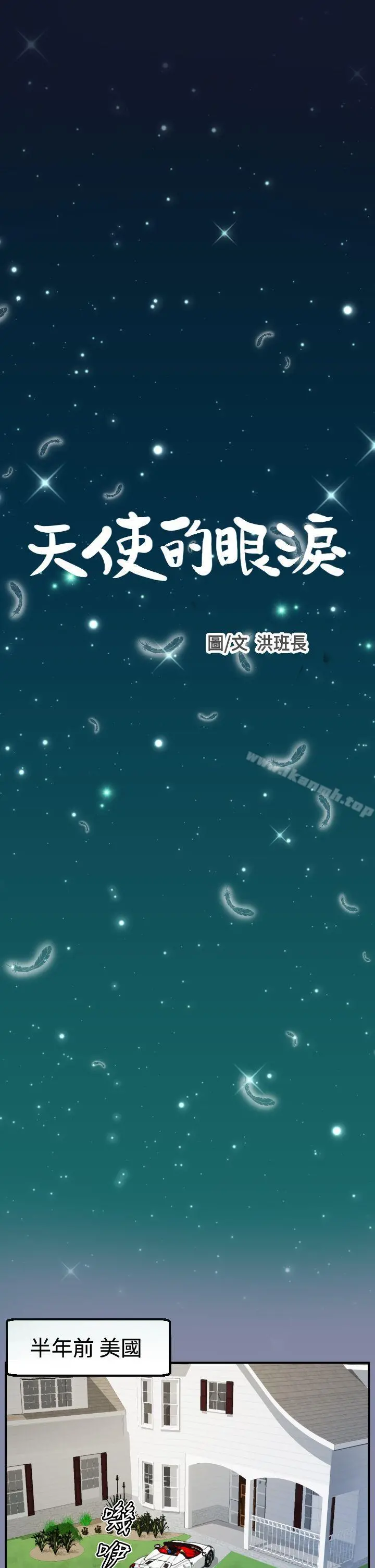 天使的眼泪(完结)
