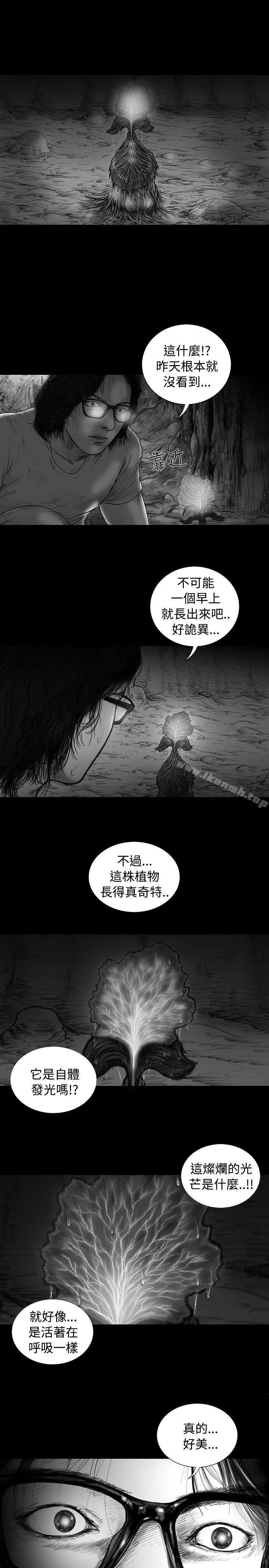 SEEDTheBeginning