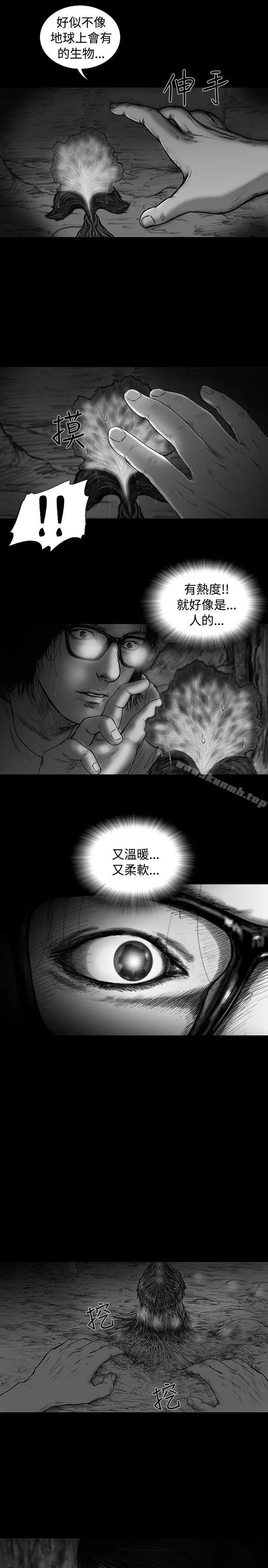 SEEDTheBeginning