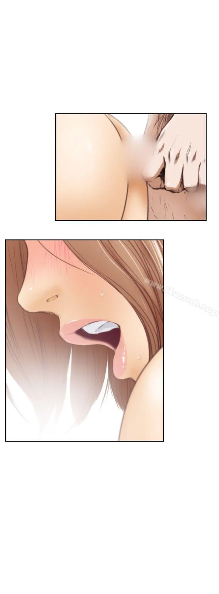 H-Mate