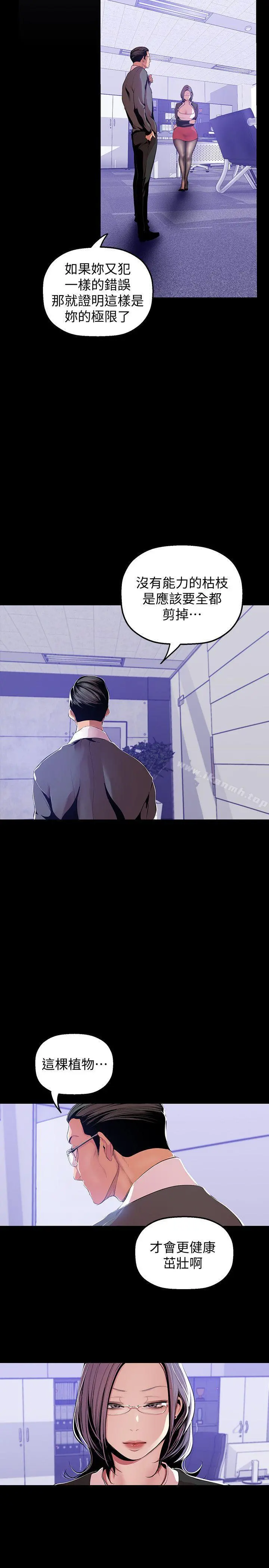 美丽新世界