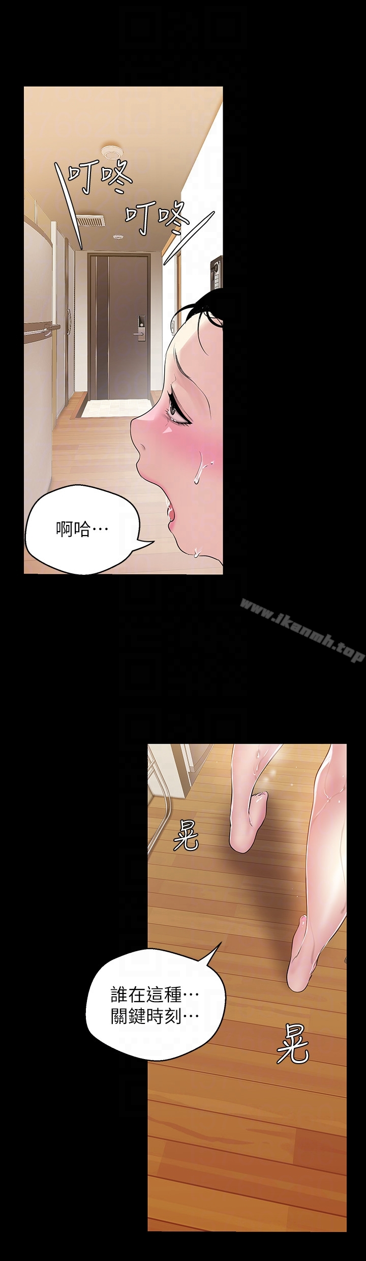 美丽新世界