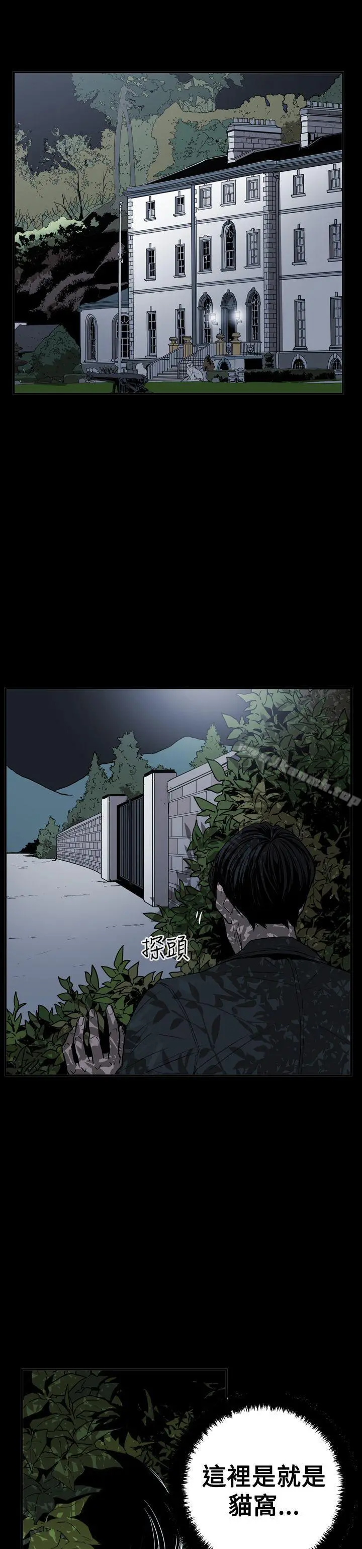 ACE:禁断的诈欺之夜