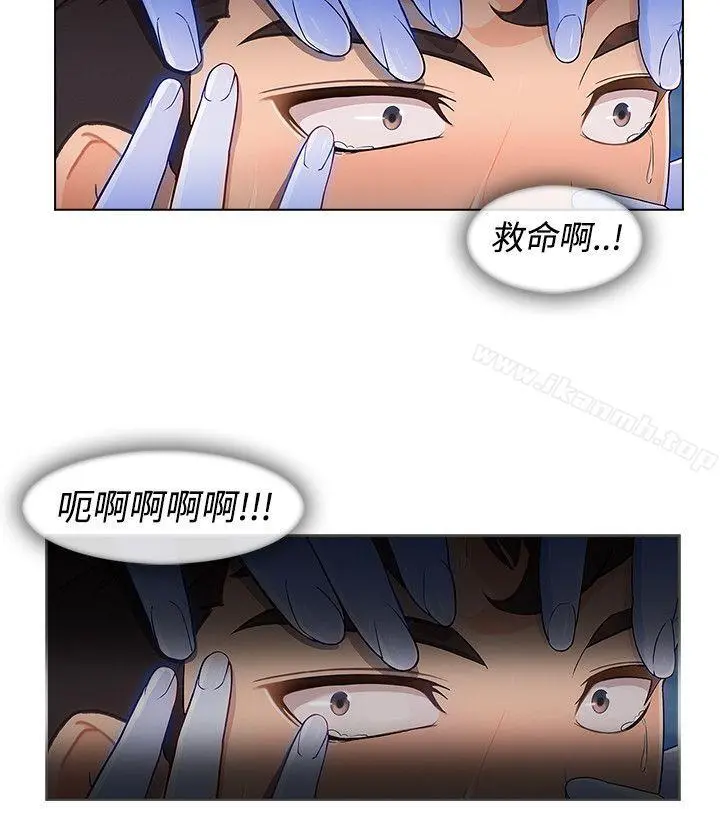 淑女花苑