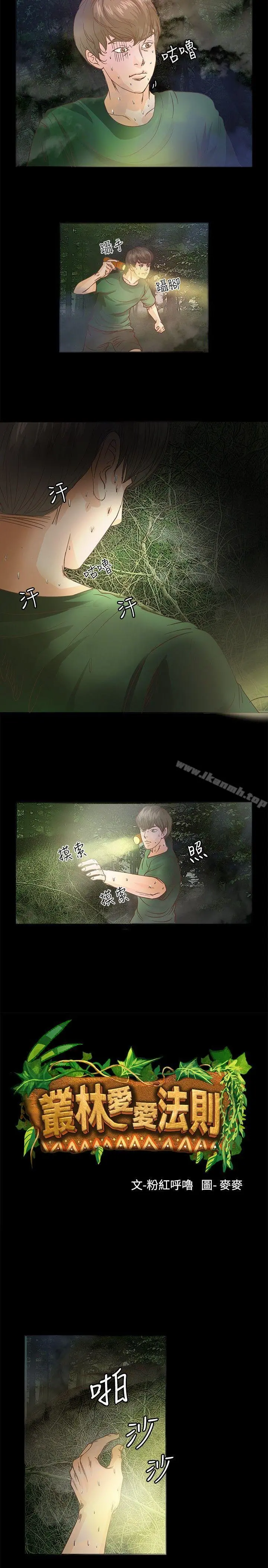 丛林爱爱法则