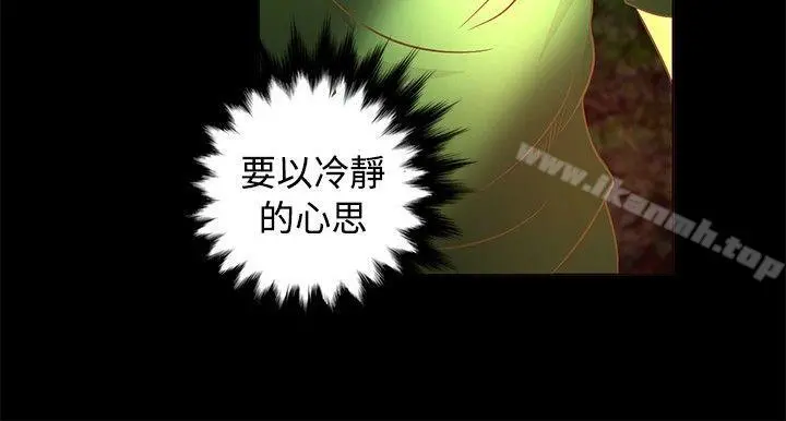 丛林爱爱法则