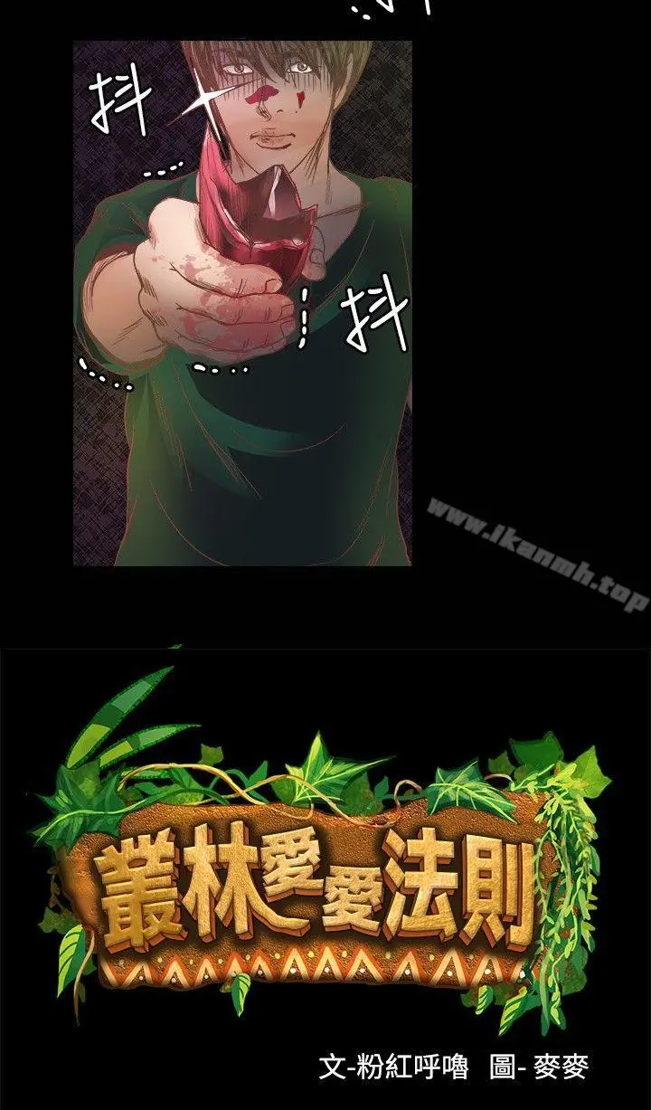 丛林爱爱法则