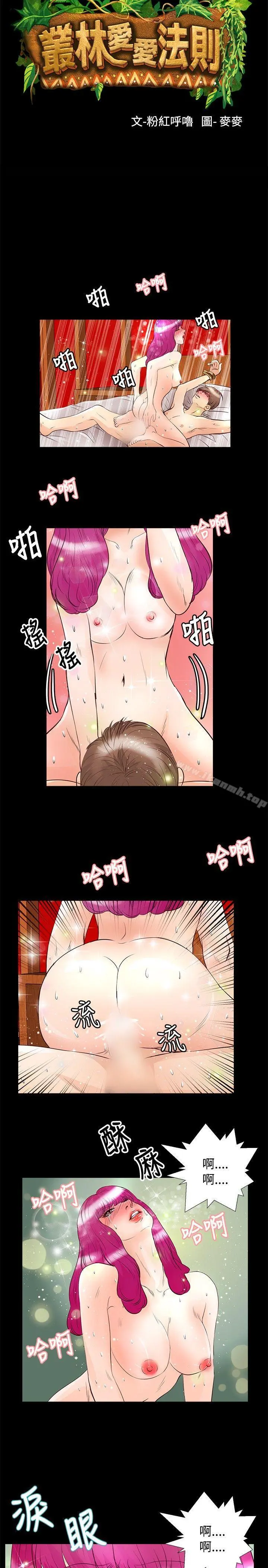 丛林爱爱法则