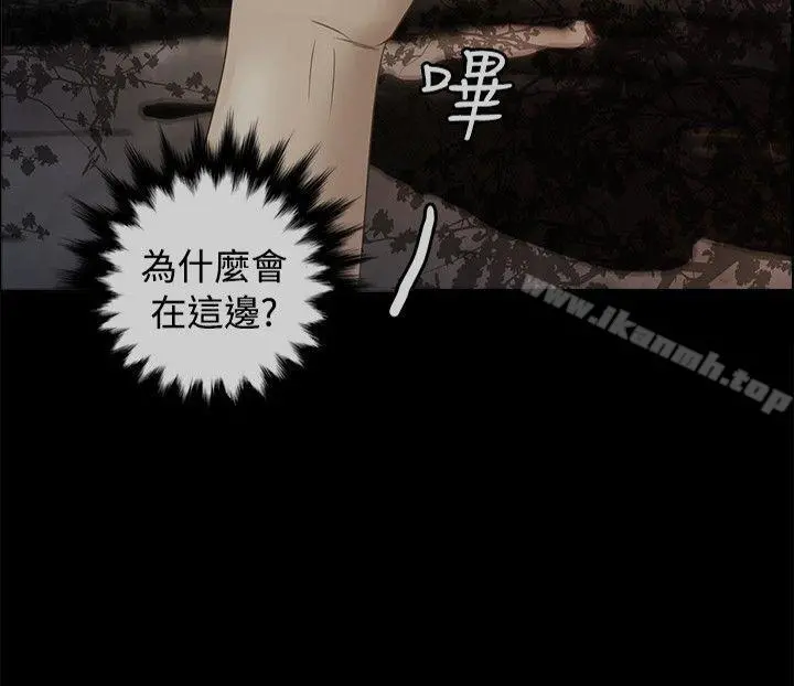 丛林爱爱法则