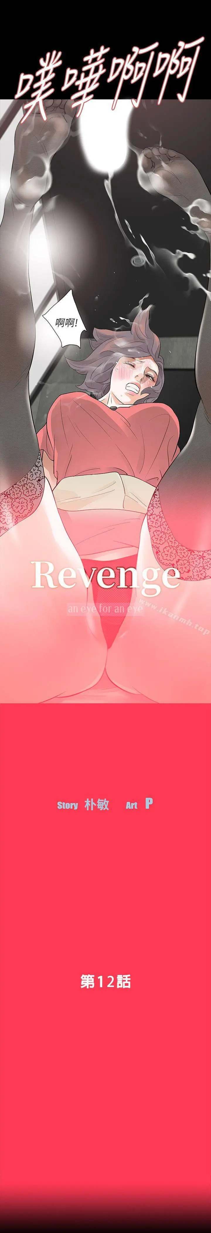 Revenge（复仇无删减）