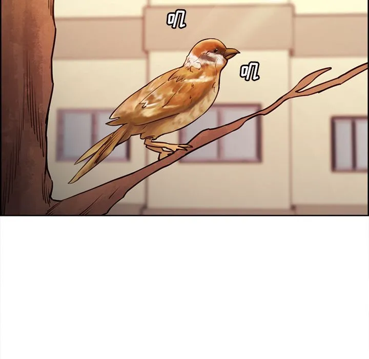岳母家的刺激生活