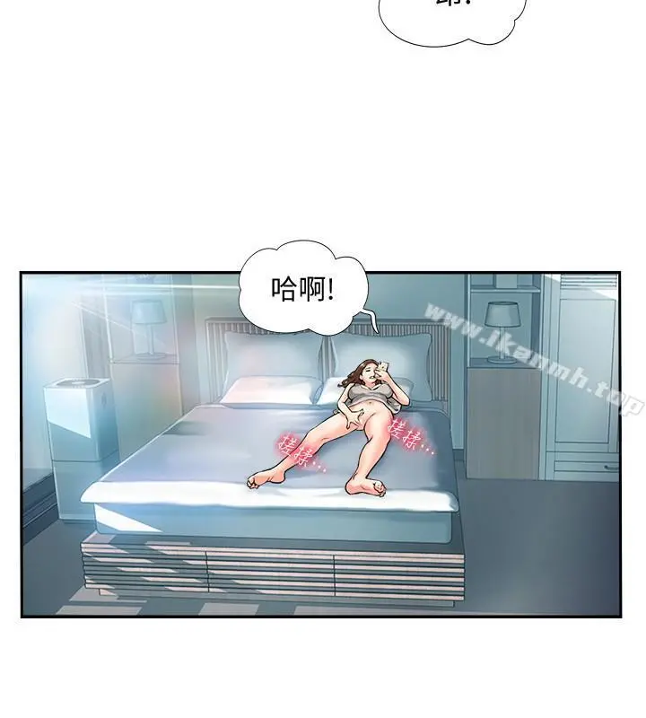 完美新伴侣