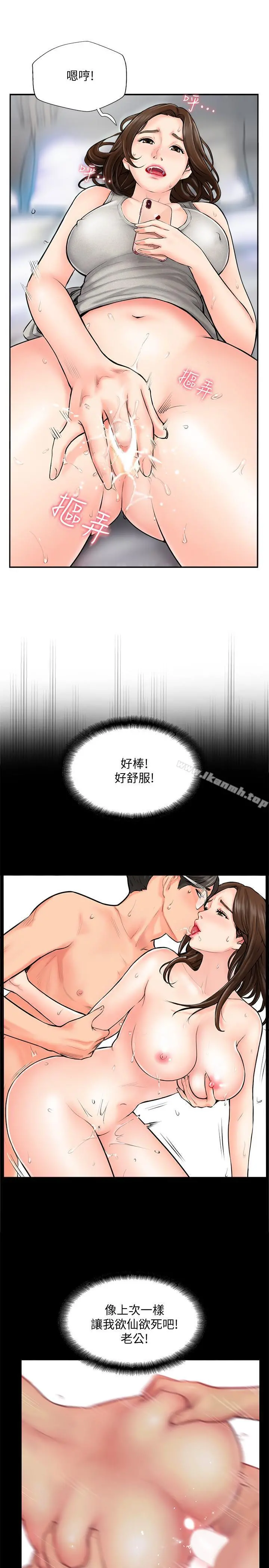 完美新伴侣
