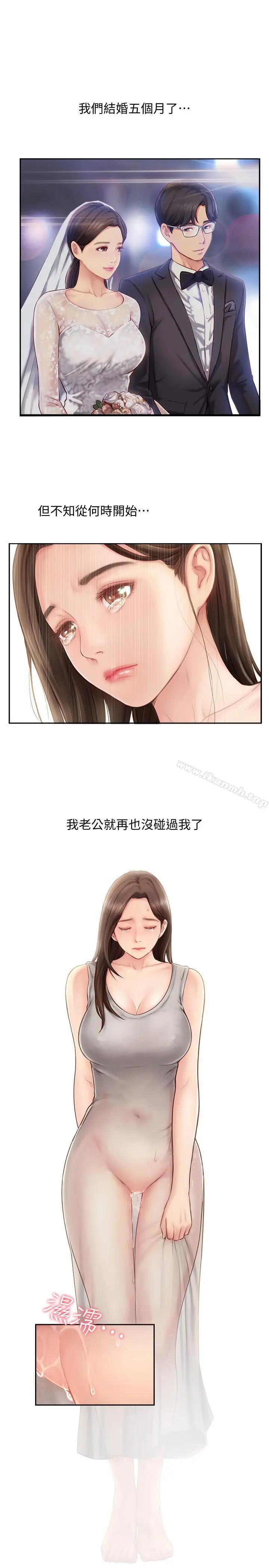 完美新伴侣