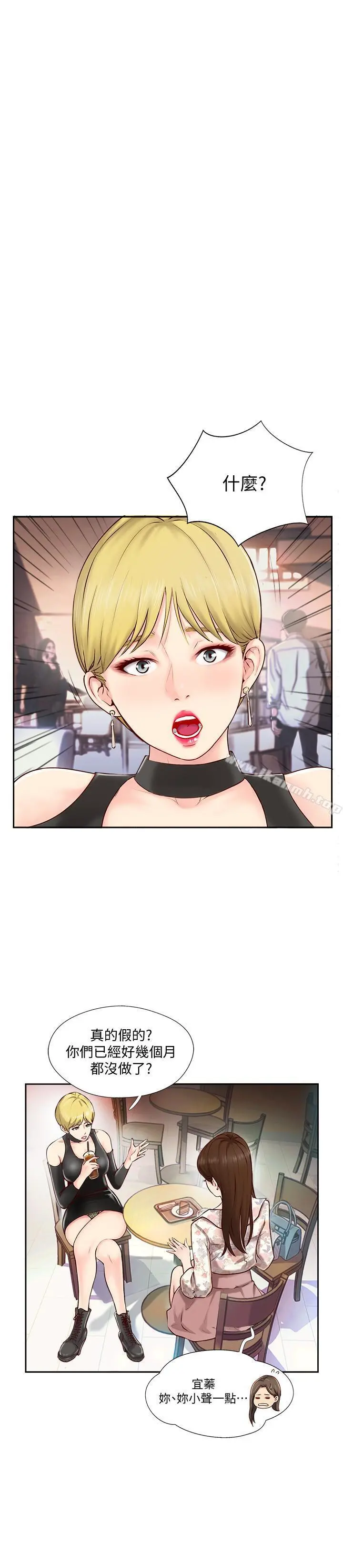完美新伴侣