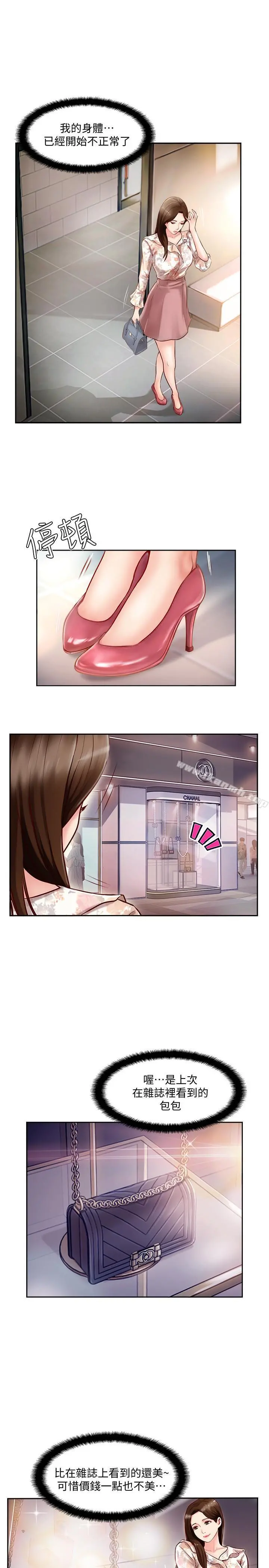 完美新伴侣