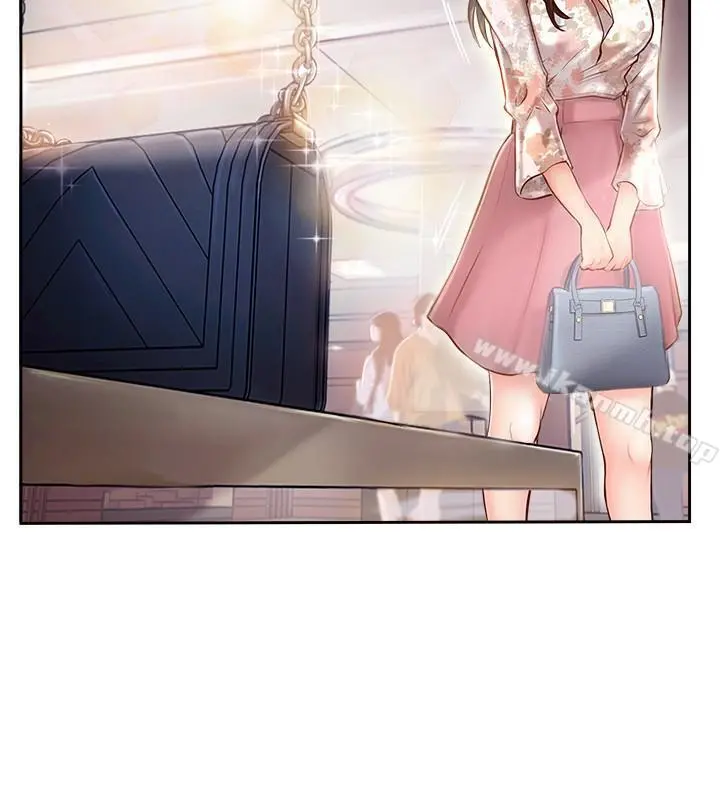 完美新伴侣