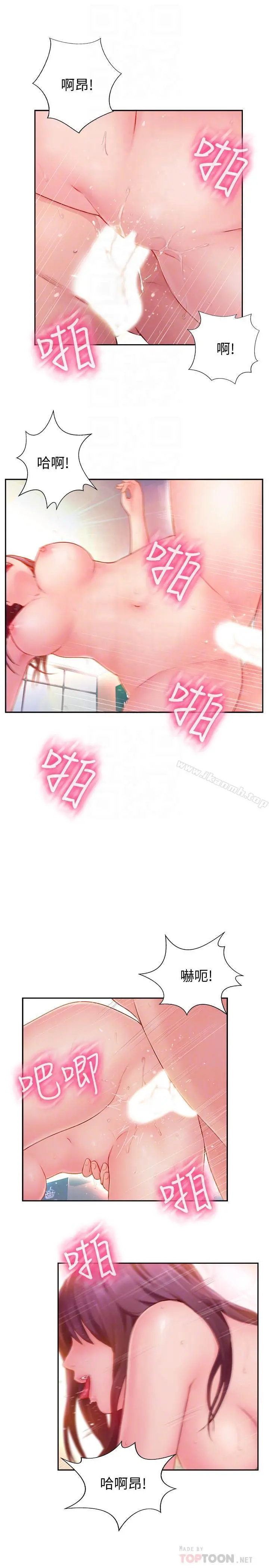 完美新伴侣
