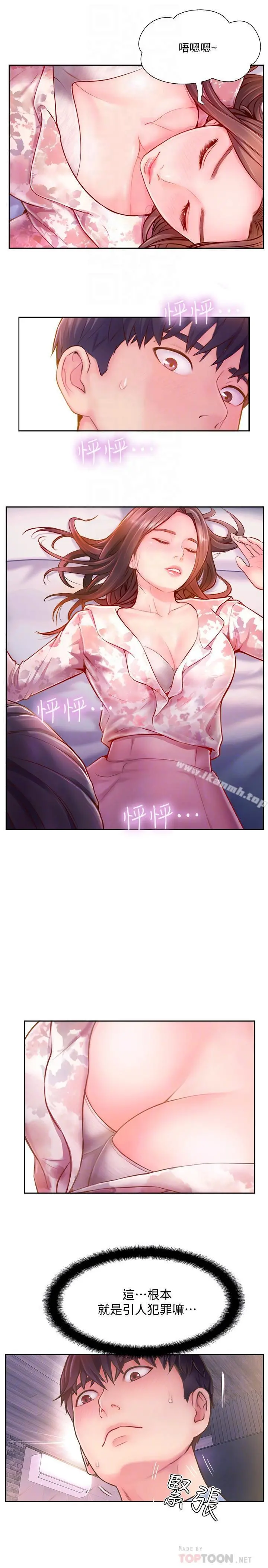 完美新伴侣