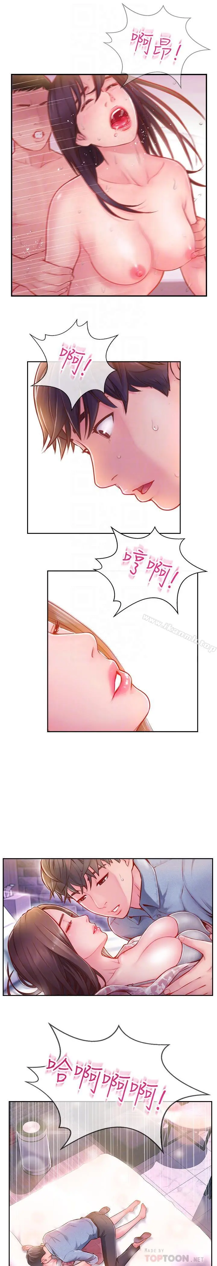 完美新伴侣