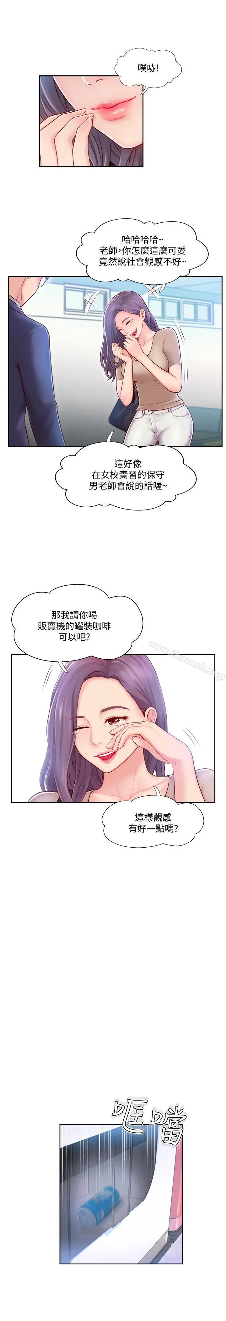 完美新伴侣
