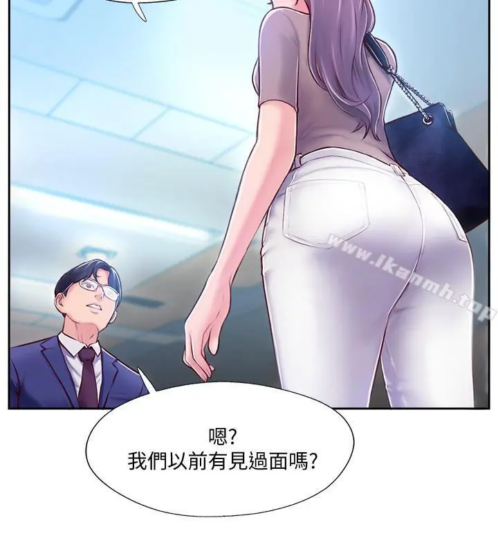 完美新伴侣