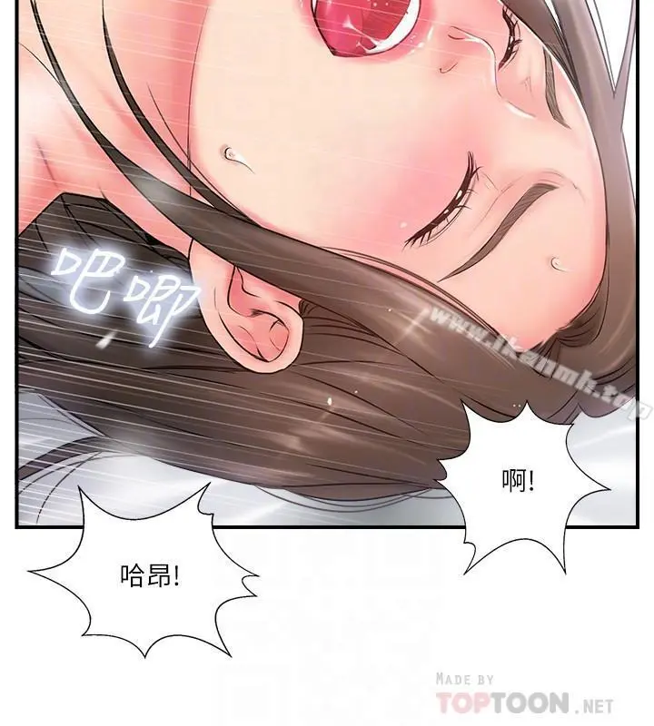 完美新伴侣