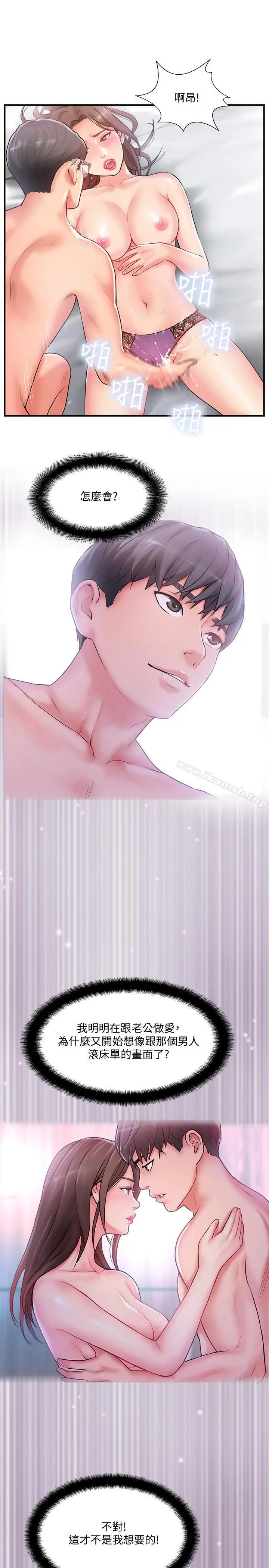完美新伴侣