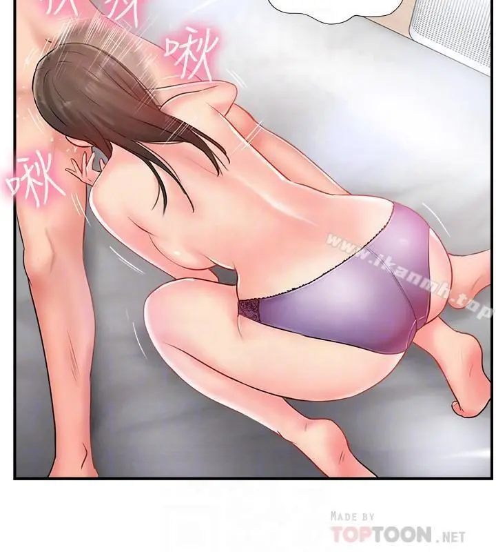 完美新伴侣