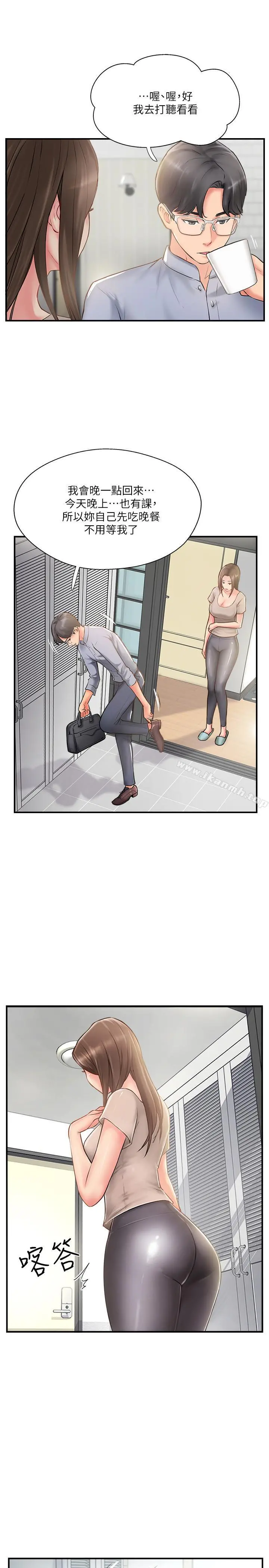 完美新伴侣