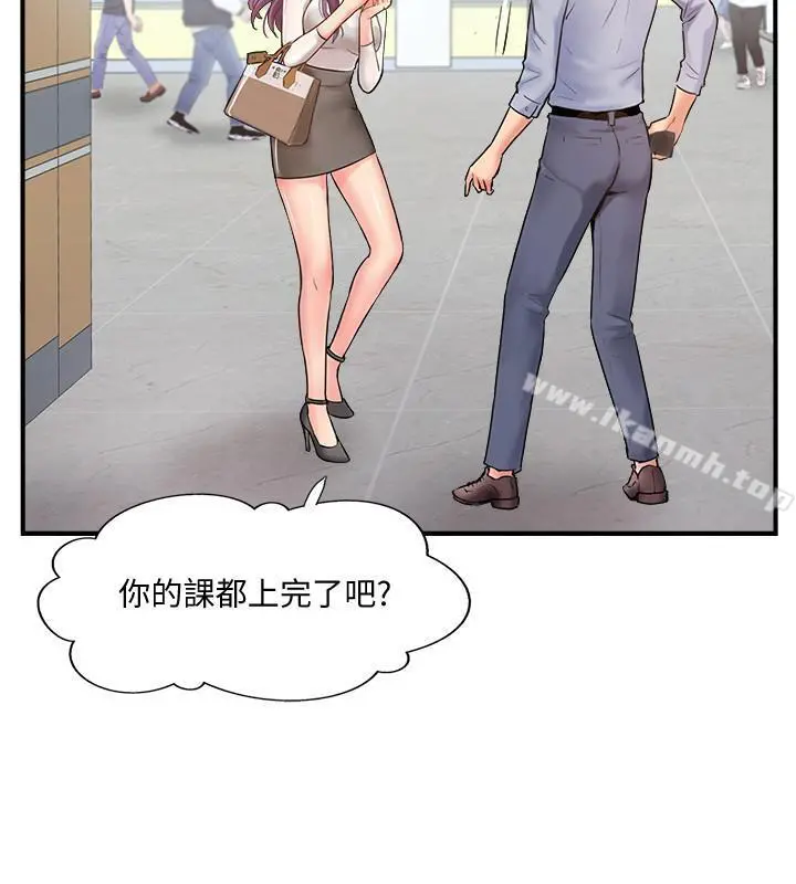 完美新伴侣