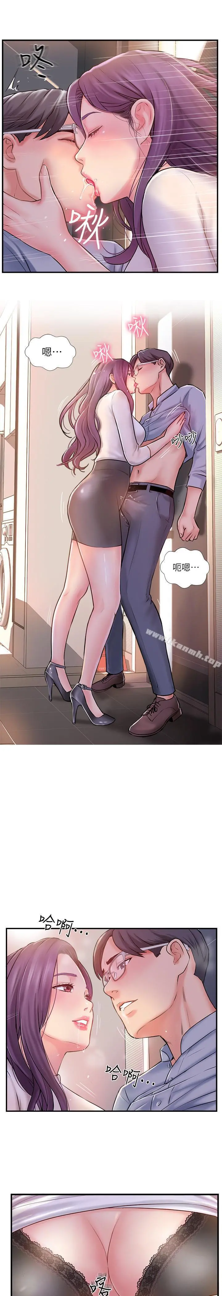 完美新伴侣