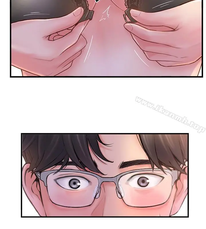 完美新伴侣