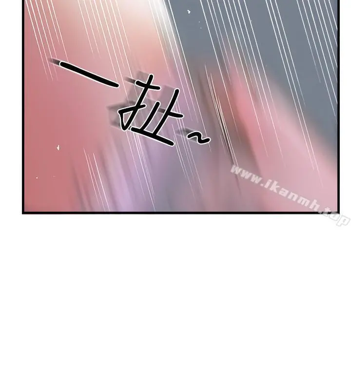 完美新伴侣