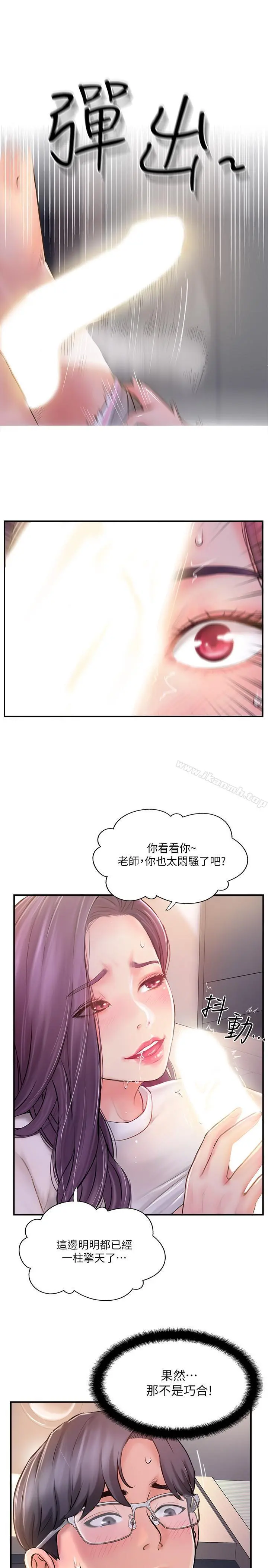 完美新伴侣