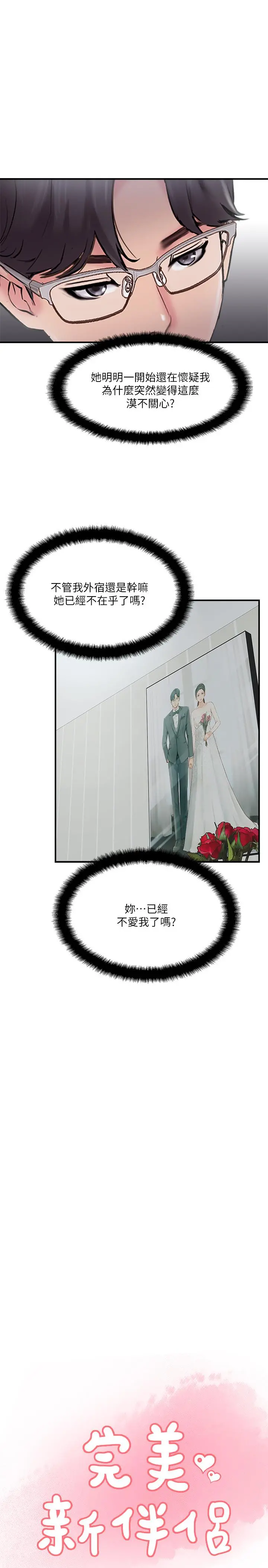 完美新伴侣