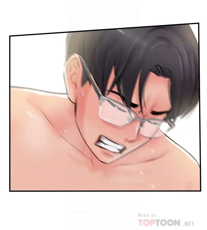 完美新伴侣