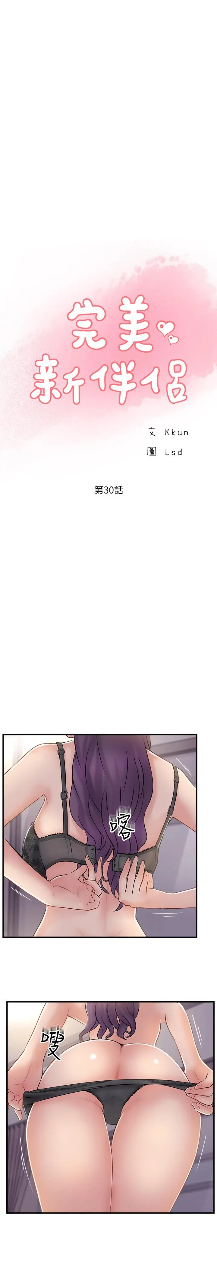 完美新伴侣