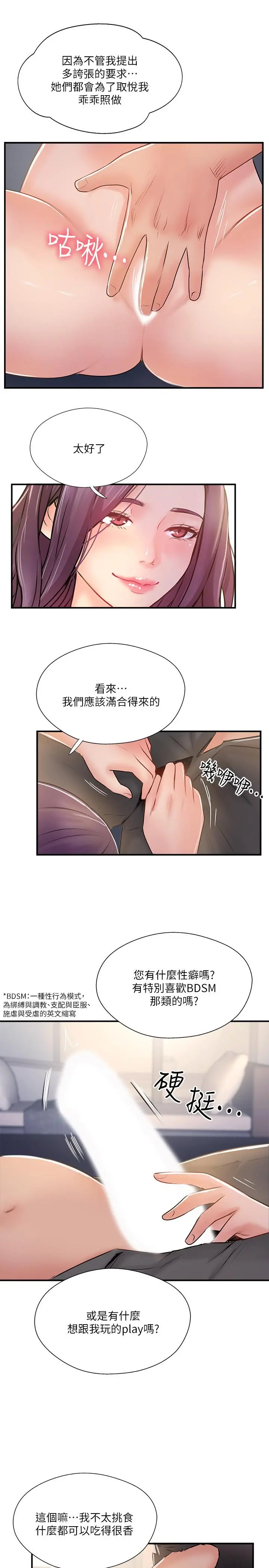 完美新伴侣