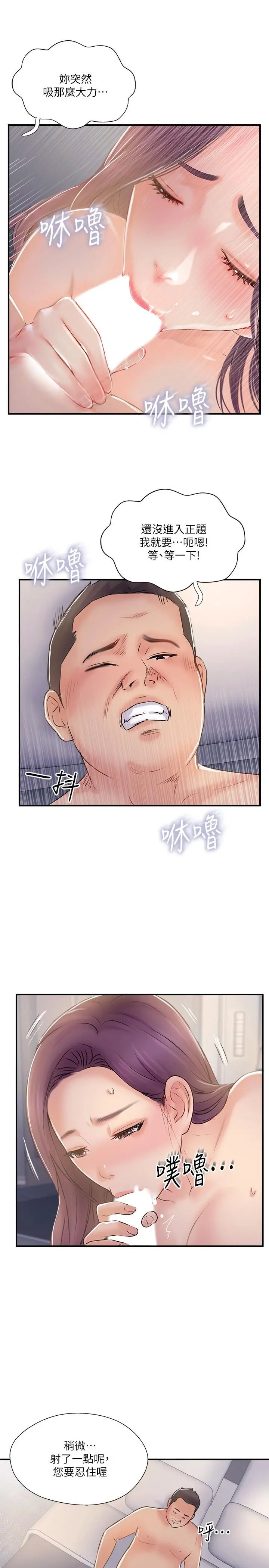 完美新伴侣